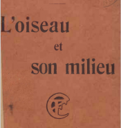 L'oiseau st son meilleu